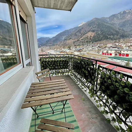 Cozy Flat Pieve di Cadore
